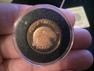 2001 50,  000,  000 Gem Proof Lira Gold Eagle Coin - Turkey - Diamond In Eye photo