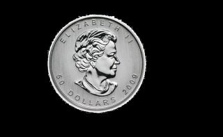 2009 - 1 Oz Canadian Palladium.  9995 Fine - Bu - Maple Leaf $50 Coin (206) photo