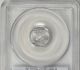2006 $10 Tenth - Ounce Platinum American Eagle 10th Anniversary Pcgs Ms - 70 Coin Platinum photo 1