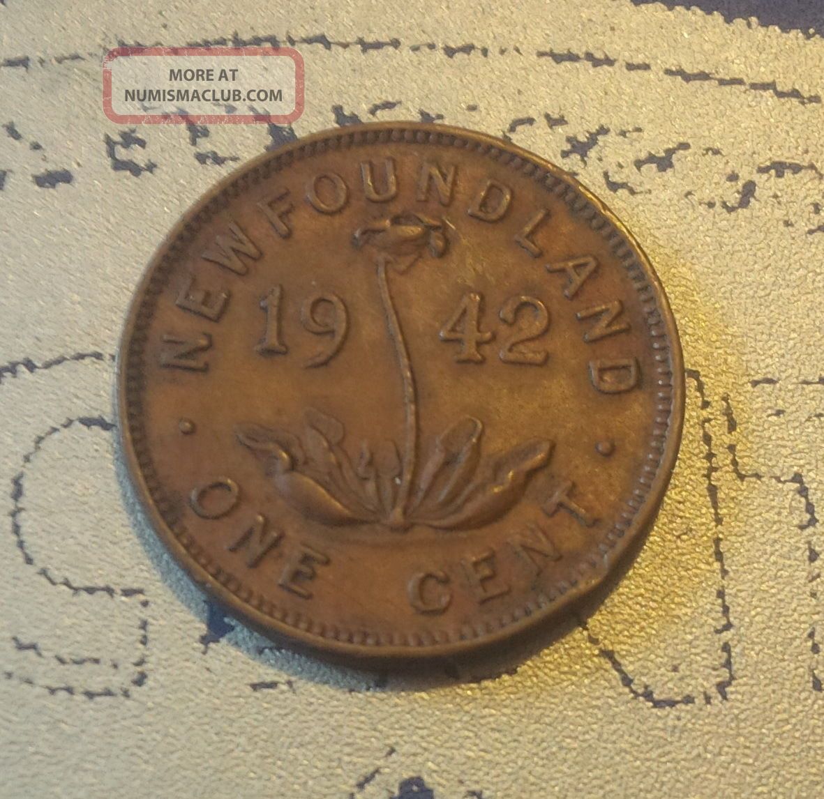 1942 Newfoundland Small Cent (c1942nl - 2) (0.  50 Cent Combined) Coins: Canada photo