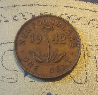 1942 Newfoundland Small Cent (c1942nl - 2) (0.  50 Cent Combined) photo