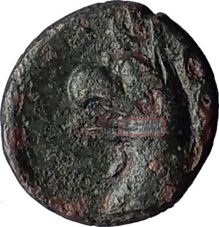 Phokaia In Ionia 350bc Nymph Griffin Authentic Ancient Greek Coin I59678 Coins: Ancient photo