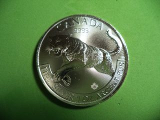 2016 Canada Cougar Wild Life Series 1 Oz.  9999 Fine Silver Round photo