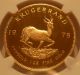 South Africa 1978 Gold 1 Oz Krugerrand Ngc Pf - 69uc South Africa photo 2
