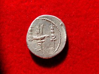 Lucernae Mark Antony Ar Denarius,  Patrae,  32 - 31 B.  C.  Leg Viii.  Legionary Series photo