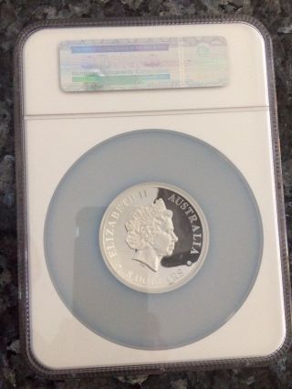 2016p 5oz Australia S$8 Wedge - Tailed Eable High Relief Pf 70 Ultra Cameo photo