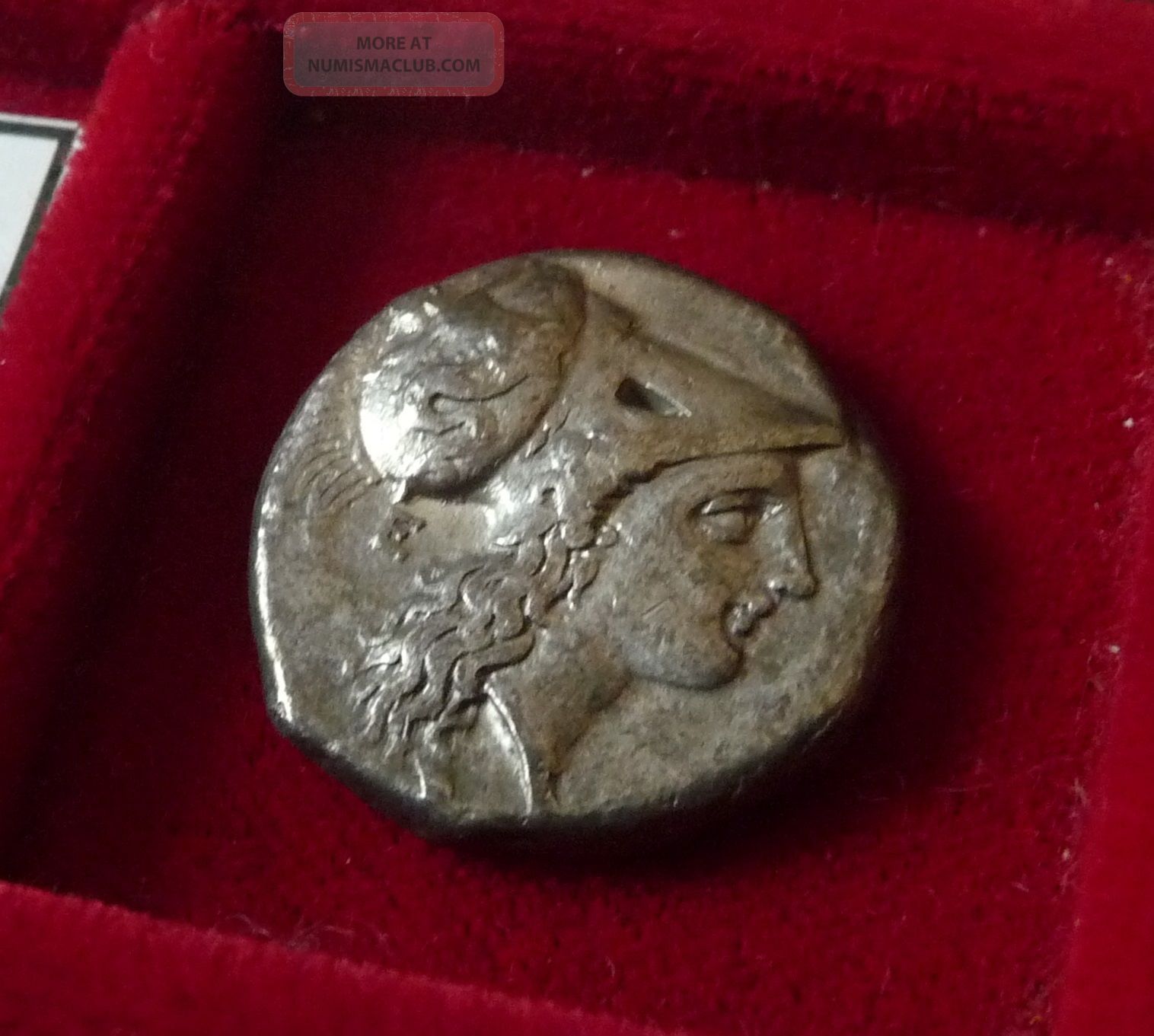 Lucania,  Herakleia Ar Stater 281 - 278 Bc Athena W/ Scylla - Herakles Coins: Ancient photo