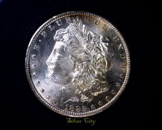 Gsa Carson City 1882 - Cc Vam 3d R7 Anacs Ms64 Morgan Silver Dollar U.  S.  Coin photo