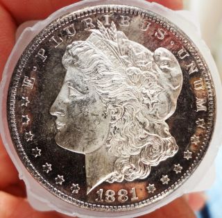 1881 S Bu/gem Morgan Silver Dollar Proof Like/dmpl,  Frosty Cameo photo