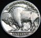 Key 1917 - S Buffalo Nickel 5¢ Polished Low Mintage 4.  1 Million S&h Ch12mn Nickels photo 1