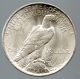 1922 Peace Dollar Error Struck Thru Obverse At Face.  Dbl Berry & Claw Rev. Coins: US photo 4
