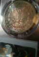 1881 - S Morgan Dollar Pcgs Ms - 65,  Cac Approved,  Brilliant Blue Toning Dollars photo 4