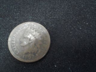 Key Date Coin 1882 1c Indian Head Penny photo
