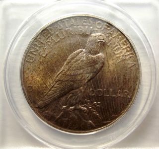 1926 $1 Peace Dollar Ms64,  Gold Toning.  Strike,  Sharp Coin photo