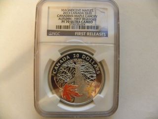 2013 Canada $20 Maple Canopy - Autumn Ngc Pf 70 Ultra Cameo,  First Releases photo