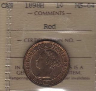 1898 Canada Large Cent.  Iccs Ms - 64.  Red photo