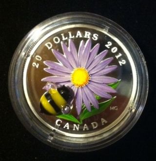 2012 Canada Glass Bumble Bee Aster Coin $20 9999 Silver Coin W/ Case & photo