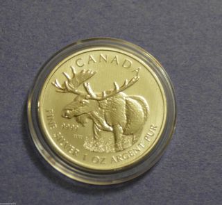 2012 Pure (. 9999) Silver Canadian - Moose - 1 Oz Coin - Limited Mintage photo
