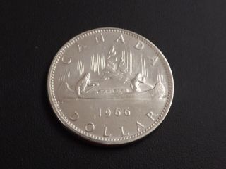 1966 Canadian Silver Dollar In Absolutely Spectacular Coin photo