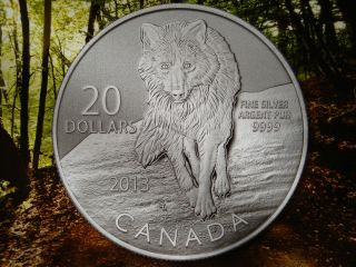 2013 - 1/4 Oz $20 Wolf Canadian Fine Bullion Silver 0.  9999 Coin With photo