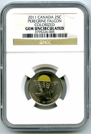 2011 Canada 25 Cent Ngc Gem Uncirculated Peregrine Falcon Colorized Quarter Rare photo