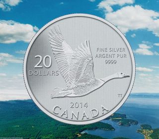 Canada 2014 $20 Canada Goose,  Fine.  9999 Silver Commemorative Coin,  No Tax photo