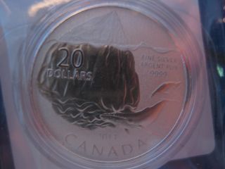 $20 For $20 Iceberg Canadian Silver Coin (9th In The Series) photo