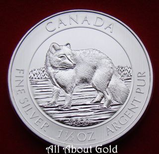 Canada Silver Coin 1 1/2 1.  5 Oz 2014 Snow Arctic Fox Royal.  9999 Fine Bu photo