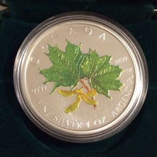 2002 Canada.  9999 1 Oz Silver Maple Leaf Coloured Coin - Spring photo