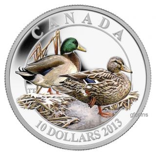 2013 $10 Fine Silver Coloured Coin Ducks Of Canada - Mallard photo