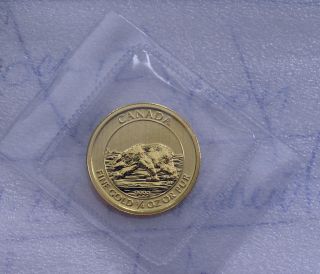 2013 Canada 1/4 Oz.  9999 Gold $10 Dollars Coin - Polar Bear Bu Special,  Rare photo