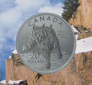 2014 $20 Bobcat Coin,  99.  99 Silver Encapsulated Coin And Certificate,  No Taxes photo