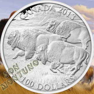 $100 Face Value Silver Coin Canada 2013 Bison Wildlife In Motion First Of Series photo