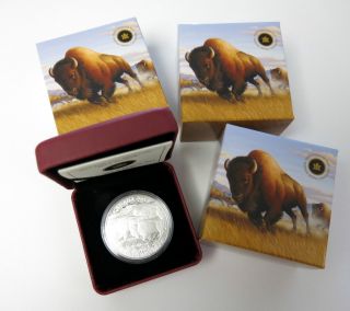 3x Canada $100 Bison Stampede - 2013 -.  9999 1 Oz Silver Coin Wildlife In Motion photo