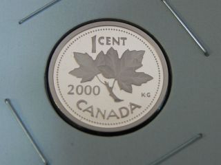 2000 Proof Unc Canadian Canada Maple Leaf Elizabeth Ii Penny One 1 Cent photo