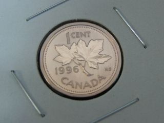1996 Specimen Red Canadian Canada Maple Leaf Elizabeth Ii Penny One 1 Cent photo