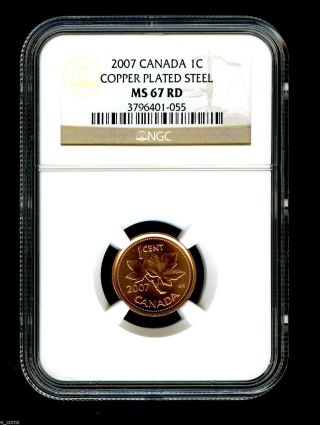 2007 Canada Cent Ngc Ms67 Rd Copper Plated Magnetic Steel Rare photo