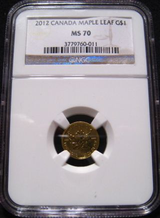 2012 Canada $1 Gold Maple Leaf Ngc Ms70 1/20 Oz.  9999 Fine Gold - Very Rare photo