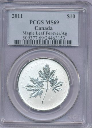 2011 1/2 Ounce Silver Maple Leaf Forever Pcgs Graded Ms69 First Year Of Design photo