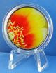 2013 Eastern Prickly Pear Cactus 25c Colored Coin Flowers Up Close Series Coins: Canada photo 2