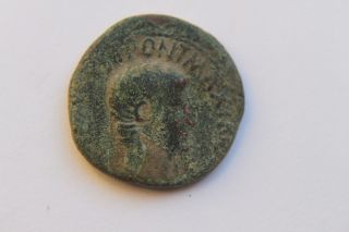 Ancient Roman Augustus As Coin 1st Century Bc/ad Caesar photo
