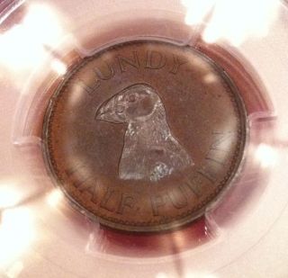 Rare 1929 Lundy Half Puffin Bu Lustrous Brown Gorgeous Patina Pcgs Ms64 photo