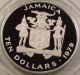 1979 Jamaica Year Of The Child $10 Silver Coin North & Central America photo 1