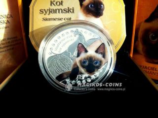 Man ' S Best Friends Cats Siamese Cat - Second With Serie Niue Islands 2014 1$ photo