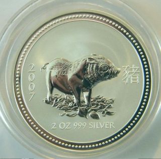 Australia 2 Oz.  999 Silver Lunar Coin Pig Boar 2007 1st Series Low Mintage photo