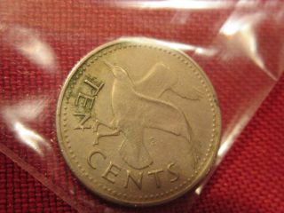 1973 Ten Cent Barbados Coin Bird On Front With Seal On Rear photo