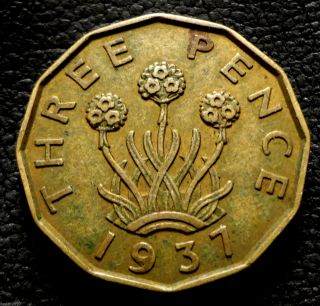 United Kingdom,  Gb.  1937 3 Pence Three - Headed ' Thrift ' Plant Planchet Error photo