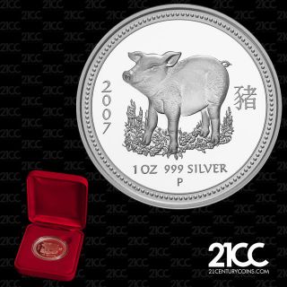 2007 Australia Year Of The Pig $1 Silver Proof Coin Lunar Rare photo