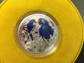 Niue 2014 1$ Hyacinth Macaw - Endangered Species Of Animals Proof Silver photo