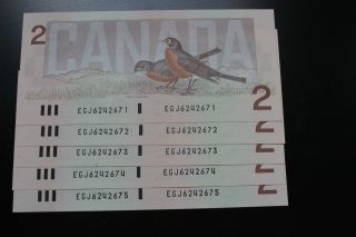 Canadian 5 1986 $2 Bill Bird Series Consecutive Serial S,  Crisp & Uncirculated photo